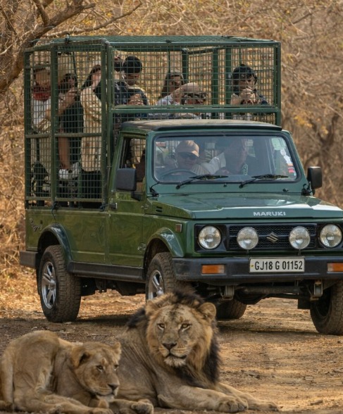 Where does it come from?